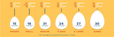 sizing up eggs egg safety center