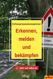 Eichenprozessionsspinner Bekampfen Selbst De Eichenprozessionsspinner Eiche Schlupfwespen