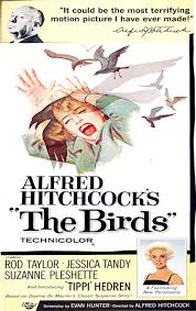 È la razza umana, piuttosto, che cerca di distruggere o di rendere difficile la volano gli uccelli volano. Gli Uccelli Film 1963 Mymovies It