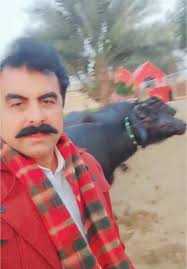Kamal Bhains: Winner of the Lahore Cattle Show