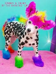 Opawz Permanent Dye Creative Grooming Dog Hair Luxury Pet