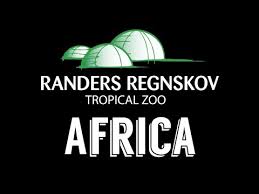 Maybe you would like to learn more about one of these? Randers Rainforest Randers Regnskov Africa Youtube
