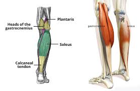 Compression.wrap the lower leg in an elastic bandage to reduce swelling and provide support for weakened muscles. Calf Strain What All Athletes Should Know About Diagnosis Treatment And Recovery