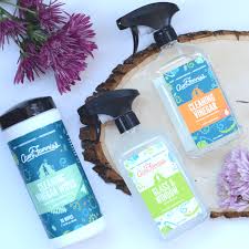 Their only purpose is to mate with the queen then die. Aunt Fannie S Non Toxic Cleaning Products No Fuss Natural