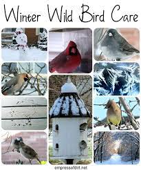 Love Birds Find Out How To Keep Them Coming Back To Your Garden All Winter Long Bird Care Wild Birds Birds Bees Butterflies