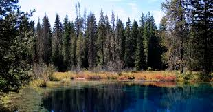 Nightly rate based on last price paid. Alpine Campground Mt Hood Or
