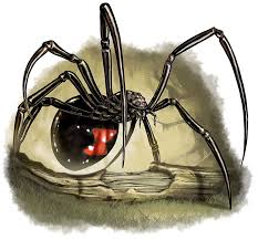 Image result for black widow spider | black widow spider. Google Spider Drawing Black Widow Spider Spider Art
