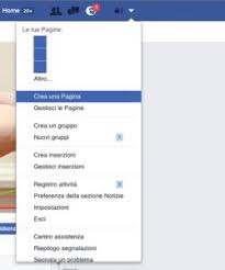 Due ragazzi sognano una pagina su cui tutti possano insegnare e imparare.e la creano! Creare Una Pagina Facebook Aziendale Mini Guida Digital Coach