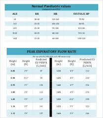 peak flow chart templates 7 free pdf documents download