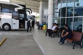 Otobus Icinde Evcil Hayvan Tasinabilecek