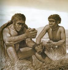 Homo ergaster