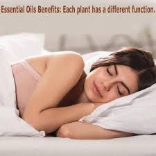 Cypress Essential Oil Set, Organic Plant Natural 100% Pure Grade Cypress  Oil for  Diffuser,Cleaning,Home,Bedroom,SPA,Massage,Aromatic,Perfumes,Humidifier,Skin,Soap,Candles  2 Pack 10mlââ‚¬¦ : Amazon.in: Health & Personal Care