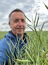 One canola variety seeded 5” row spacing with the Solitair DT and 10”  spacing with Equalizer Air Tine Drill. Left plants and pods is Solitair DT.  Middle is same variety with Equalizer