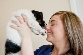 Dumped in skip at Dungannon cemetery, little puppy Fluff adopted by his  rescuers