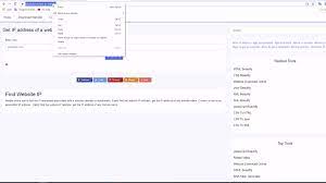 Get Ip Address Of A Website Domain Hostname Ip Address Hostname Website