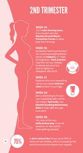 Pin On Pregnancy