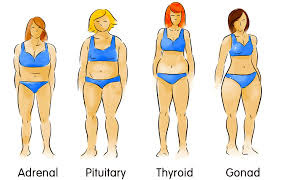 What Is My Body Type The Body Type Diet Start by drawing a head, a simple oval with slight indents around the jaw area to define it a bit more. what is my body type the body type diet