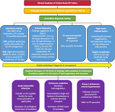 Image result for Right Heart Failure