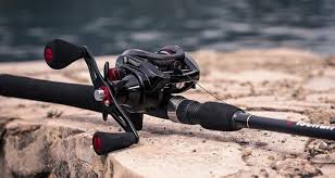 Types Of Fishing Rods Http Www Gonefishingshop Com Fishing Gear Types Of Fish Freshwater Fishing