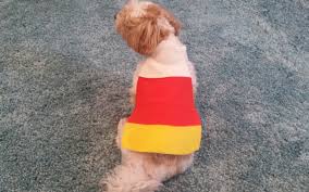 White cotton dress or tshirt. Easy Diy Pet Costume Candy Corn Craftypaws