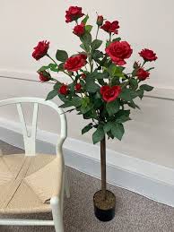 Amanda's overbearing grandmother and frail old mrs. 4 Red Rose Tree Florelle