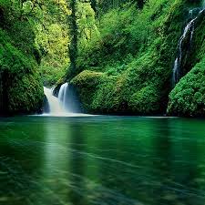 Nature, in the broadest sense, is the natural, physical, or material world or universe. My Beautiful Nature Home Facebook
