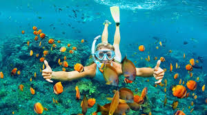 Tag #hamiltonisland or geotag @hamiltonisland to give us permission to repost. Hamilton Island Activities Escape To Hamilton Island