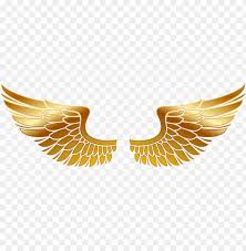 Eps, ai and other fire extinguisher, fire alarm, fire football file format are available to choose from. Olden Wings Png Transparent Image Wings Of Fire Vector Png Image With Transparent Background Toppng