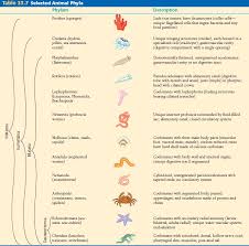 animals mr evans science website