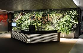 Google Sydney Reception Areas Reception Plants