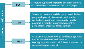 How often do i need dot physical exam? Relevant Physical Examination Cvs Cardiovascular System Cns Download Scientific Diagram