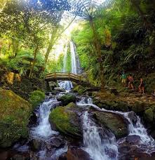 Pesona Keindahan Air Terjun Grojogan Sewu Tawangmangu Lihat Co Id Air Terjun Air Desain Banner