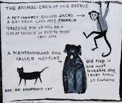 Pin By Andrew Pine On The Franklin Disaster Franklin Expedition Pet Monkey Newfoundland Dog