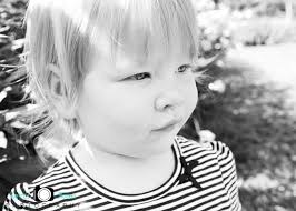 Kevin Rosen Photography