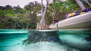 This is an excellent investment property surrounded by beautiful real estate along the rainbow river. Welcome To Florida Paddle Notes Gissy Spring On The Rainbow River Florida Paddle Notes