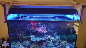 Virginia 48 Metal Halide And T5 Combo 250 Reef2reef Saltwater And Reef Aquarium Forum