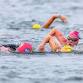 33rd Buzzards Bay Swim