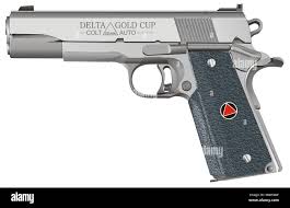 Image result for Silver 1980 Colt