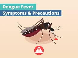 Dengue fever is typically spread through mosquito bites received during daylight hours. Dengue Fever Wellkin Hospital