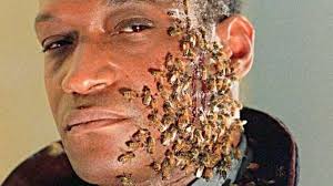 A spiritual sequel to the horror film candyman (1992) that returns to the. Candyman Producer Says New Film Will Address Toxic Fandom Produced By Deadline
