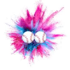 Gender Reveal Baseball - 2 Pack 1 Blue 1 Pink