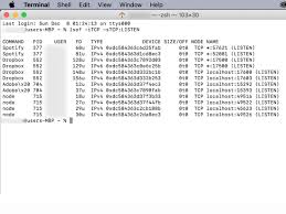 How To Use The Netstat Command On Mac