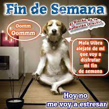 Imagenes de feliz fin de semana divertidas. Frases Graciosas Con Mensajes De Feliz Fin De Semana En Imagenes Informacion Imagenes