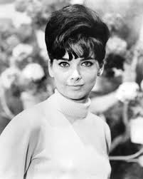 Suzanne Pleshette The Ugly Dachshund Posters and Photos 193063