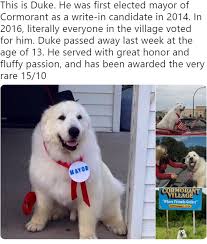 F In The Chat For Duke Snapchat Funny Wholesome Memes Funny Photo Captions