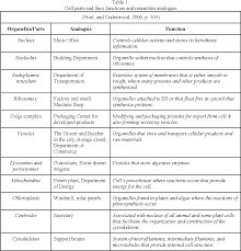 Many plant cell organelles are also found in animal cells. Parts Of A Cell And Their Functions Chart Barbe