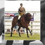 Ravensdale Lodge Equestrian & Event Centre Results : Equestrian News NI