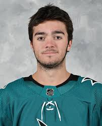 Tigers holen Eric Meloche aus der AHL