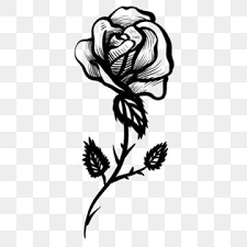 Beautiful Little Fresh Vector Material Flower Beautiful Small Fresh Png Transparent Clipart Image And Psd File For Free Download Rose Flower Tattoos Flower Clipart Flower Illustration
