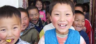 The Library Project Annual Report 2010